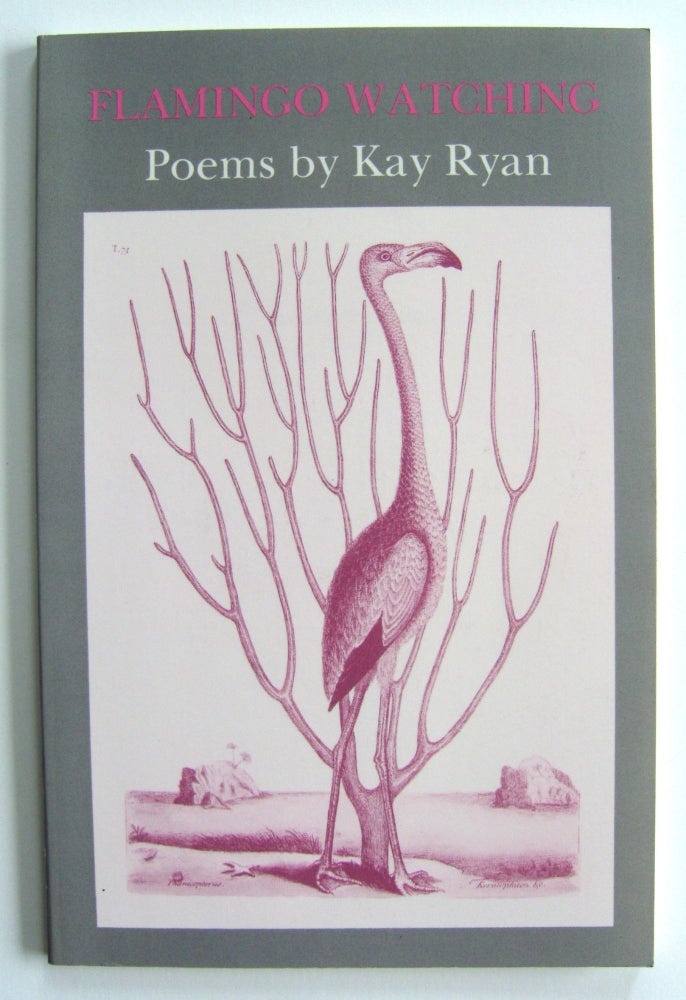 Item #654 Flamingo Watching [first edition, inscribed]. Kay Ryan.